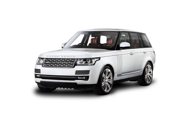 Untitled design (13)